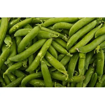 Fresh Green Peas